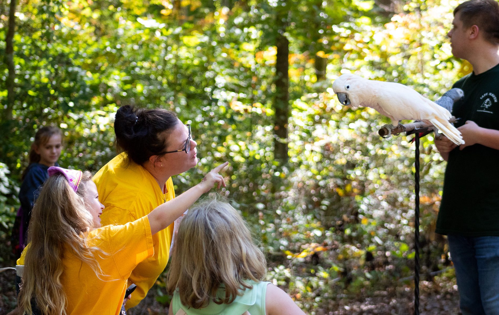  A volunteer and a Girl Scout both wearing yellow shirts point at a white bird at an outdoor animal event. 
